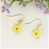 Zad Jewelry Buttercup Hand-Pressed Dried Flower Women's Drop Earrings, Yellow, E2361