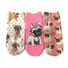 Fashion Culture Pug Lovers Low Cut Peds Socks 3 Pairs, Pink Multi