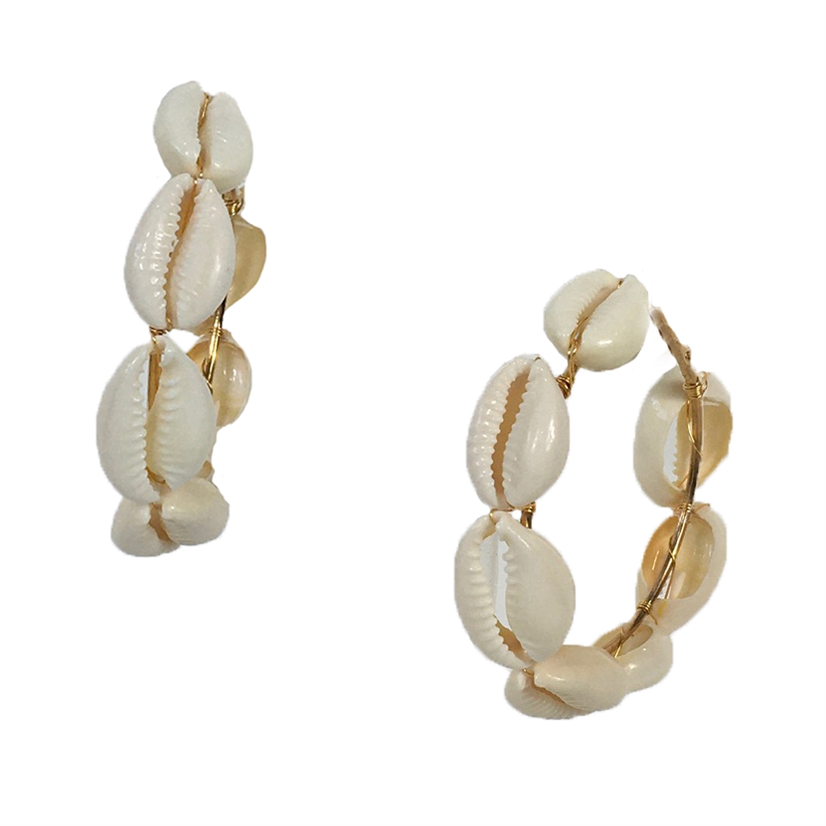 Cowrie shell store hoops